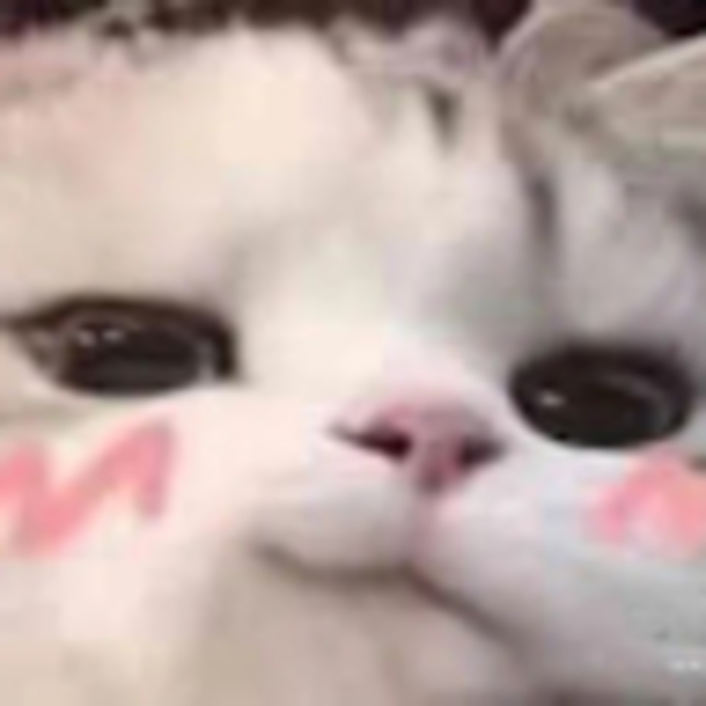 Meet your Posher, Purplepeaches